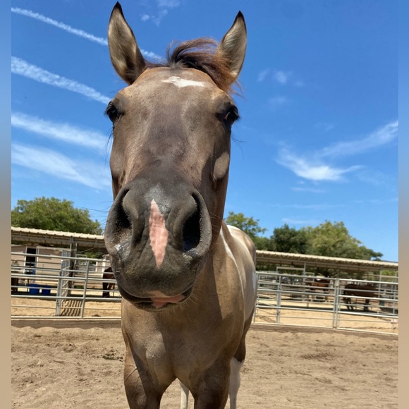 Welcome to my closet! - Picture 1 of 2